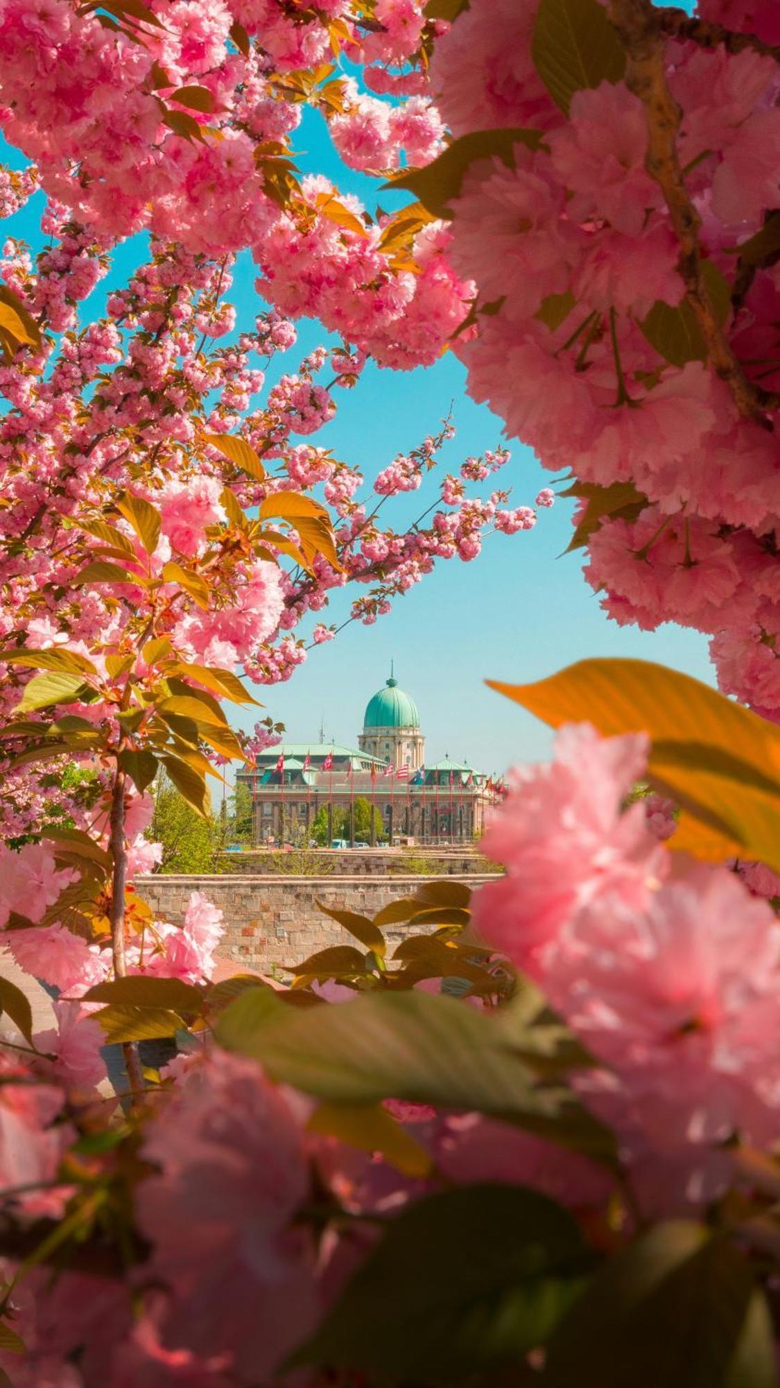 Apartmán A13 Budapešť Exteriér fotografie